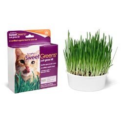 Cat Grass Kit U743