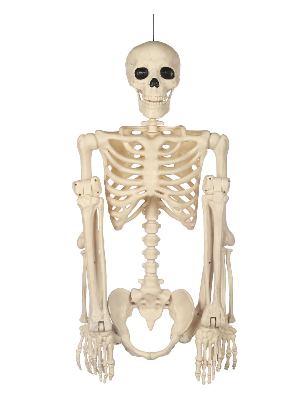 5FT Life Size Posable Skeleton C783