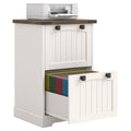 2 Drawer Small File Cabinet I979