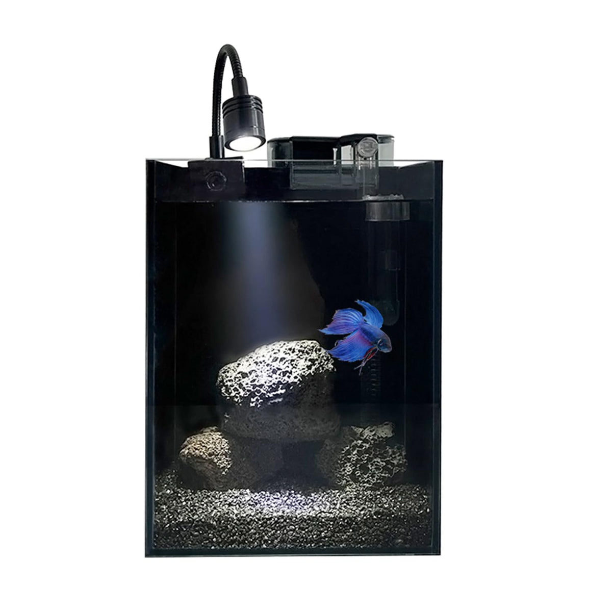 1.5 Gallon Glass Fish Tank Kit with Filter and LED Light D91936