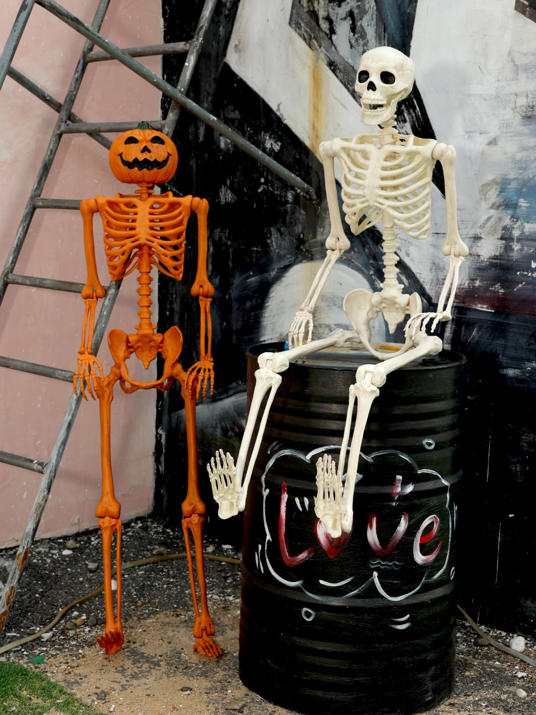 5FT Life Size Posable Skeleton C783