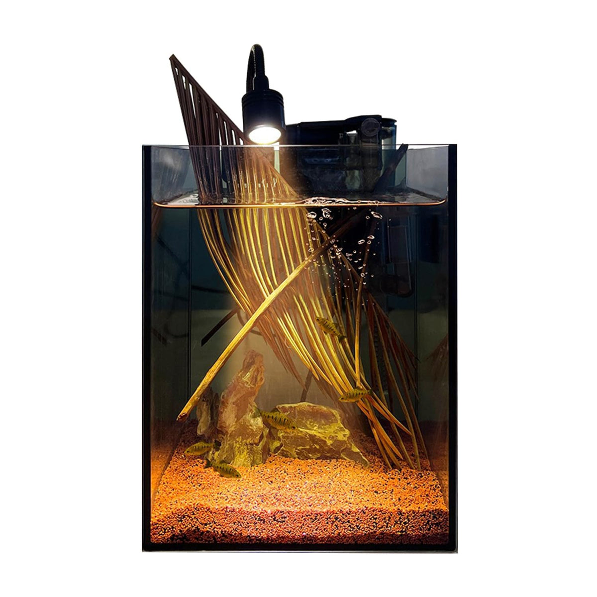 1.5 Gallon Glass Fish Tank Kit with Filter and LED Light D91936