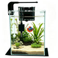 2 Gallon Betta Fish Tank with Filter and Light W204
