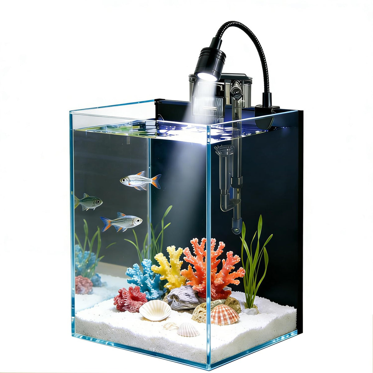 1.5 Gallon Glass Fish Tank Kit with Filter and LED Light D91936