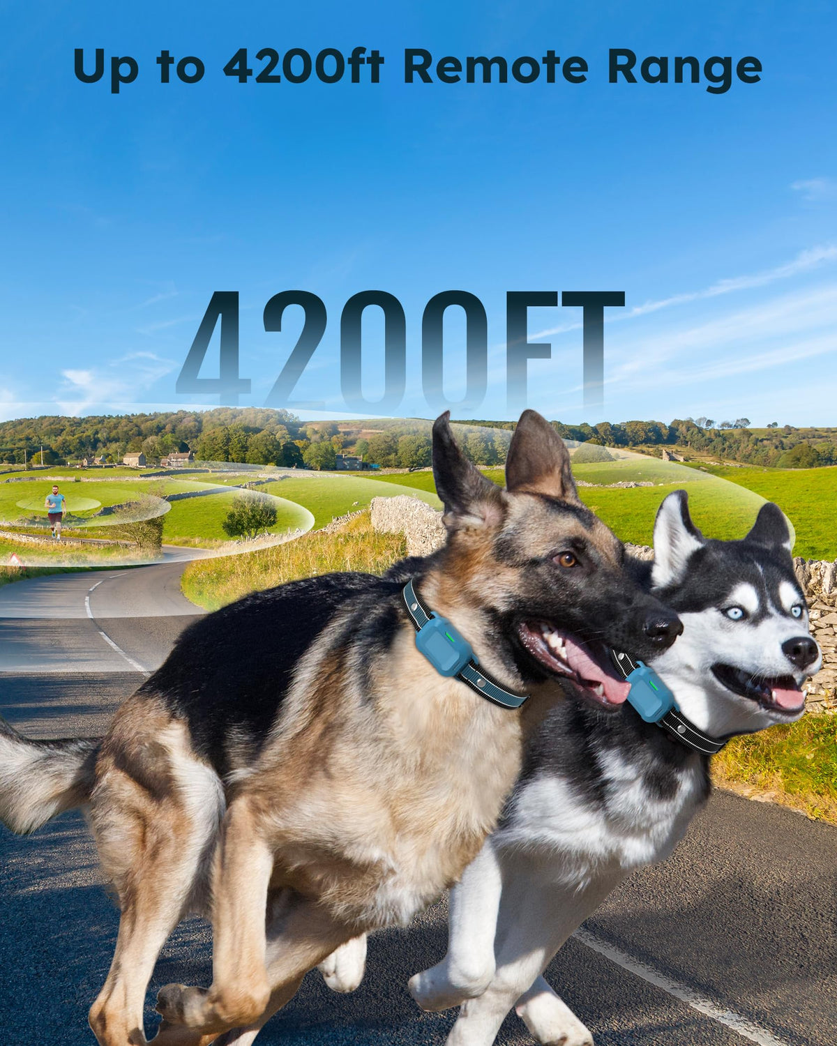 Dog Training Collar with Remote 2 Pack X635