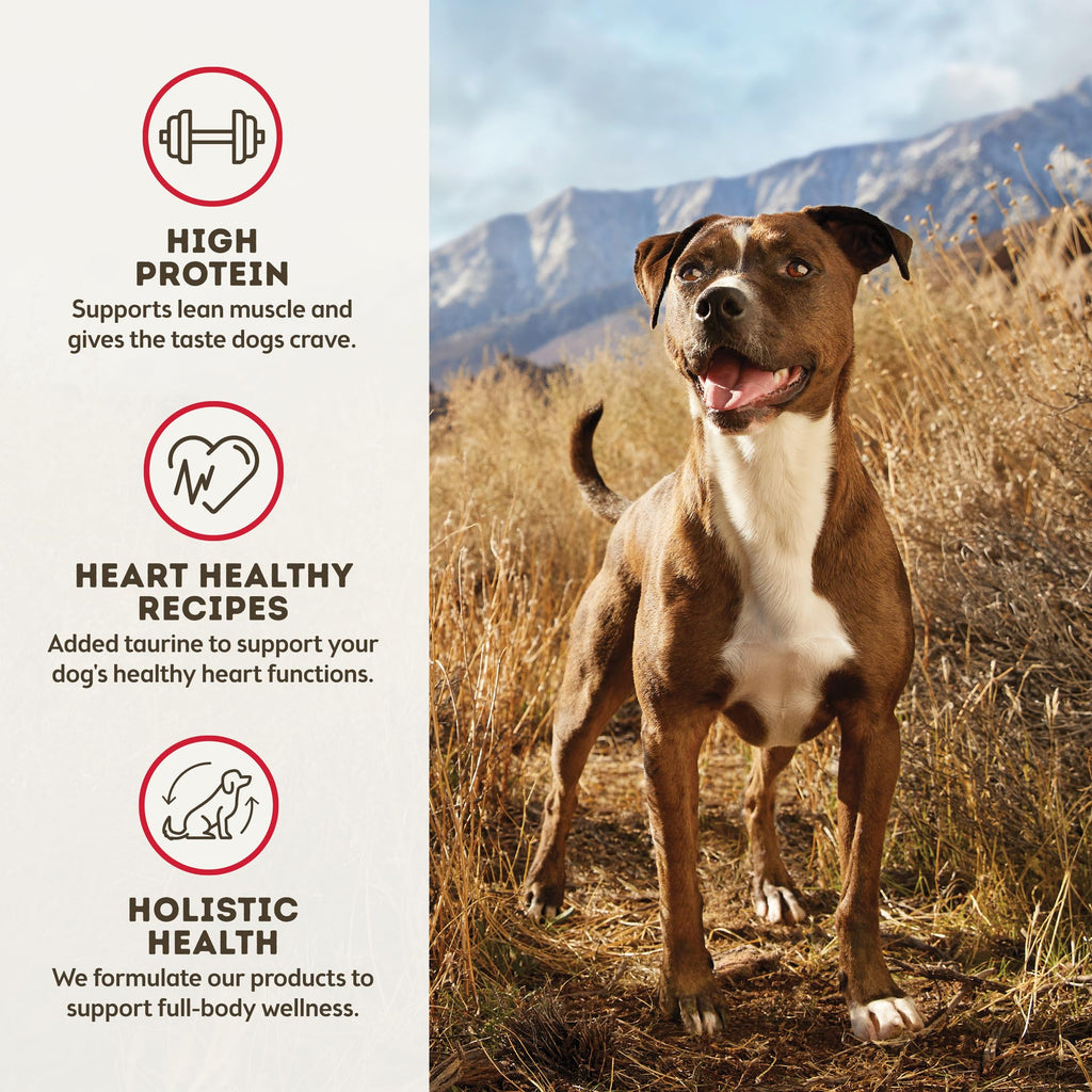 Grain Free Dehydrated Beef Recipe Dog Food 2 lb Bag Z61775