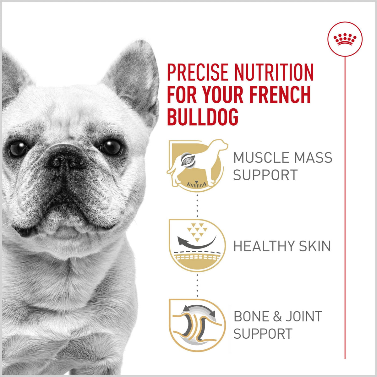 French Bulldog Adult Dry Dog Food 6 lb Bag N73368