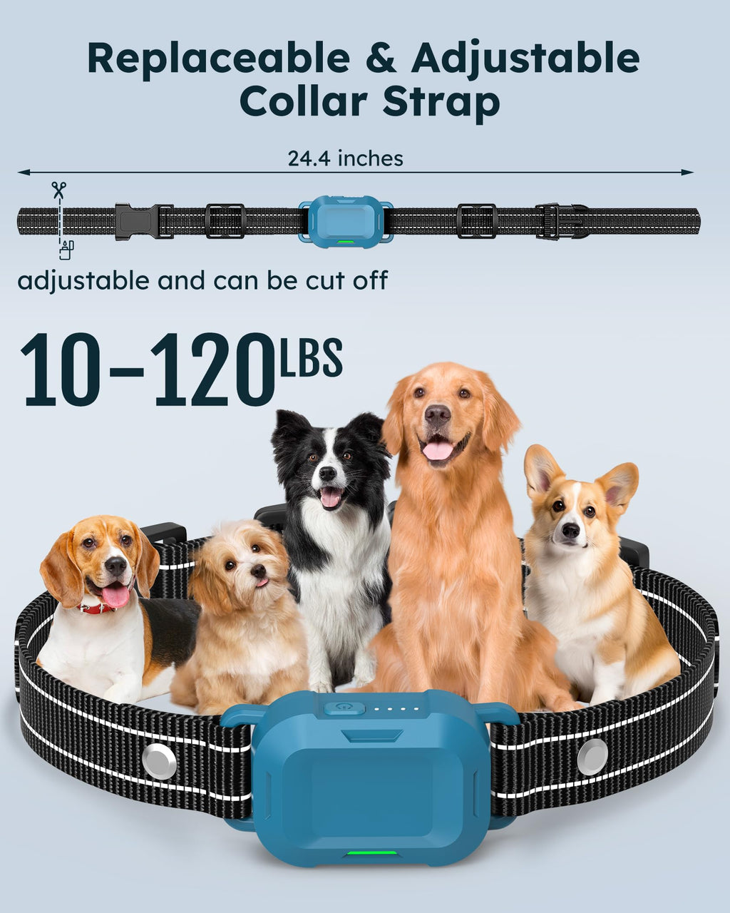 Dog Training Collar with Remote 2 Pack X635