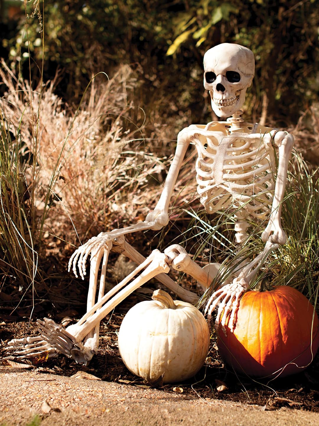 5FT Life Size Posable Skeleton C783