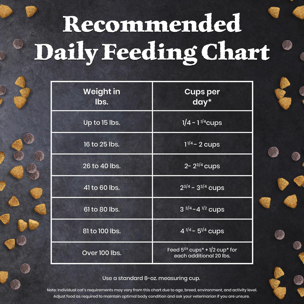 Lamb & Wholesome Grains Senior Dry Dog Food, 4.5 lb N829475