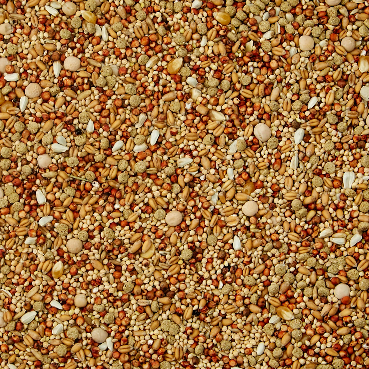 Dove Bird Seed 20 Pounds K66039