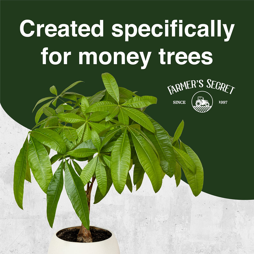 Money Tree Liquid Plant Food Fertilizer 8oz Concentrated A9690