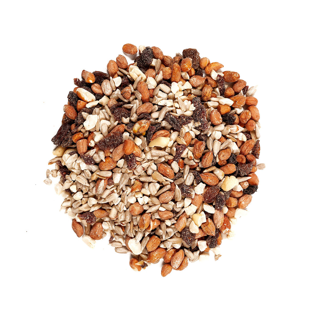 20-Pound Wild Bird Food and 5 Pound Nut & Fruit Wild Bird Food K64234