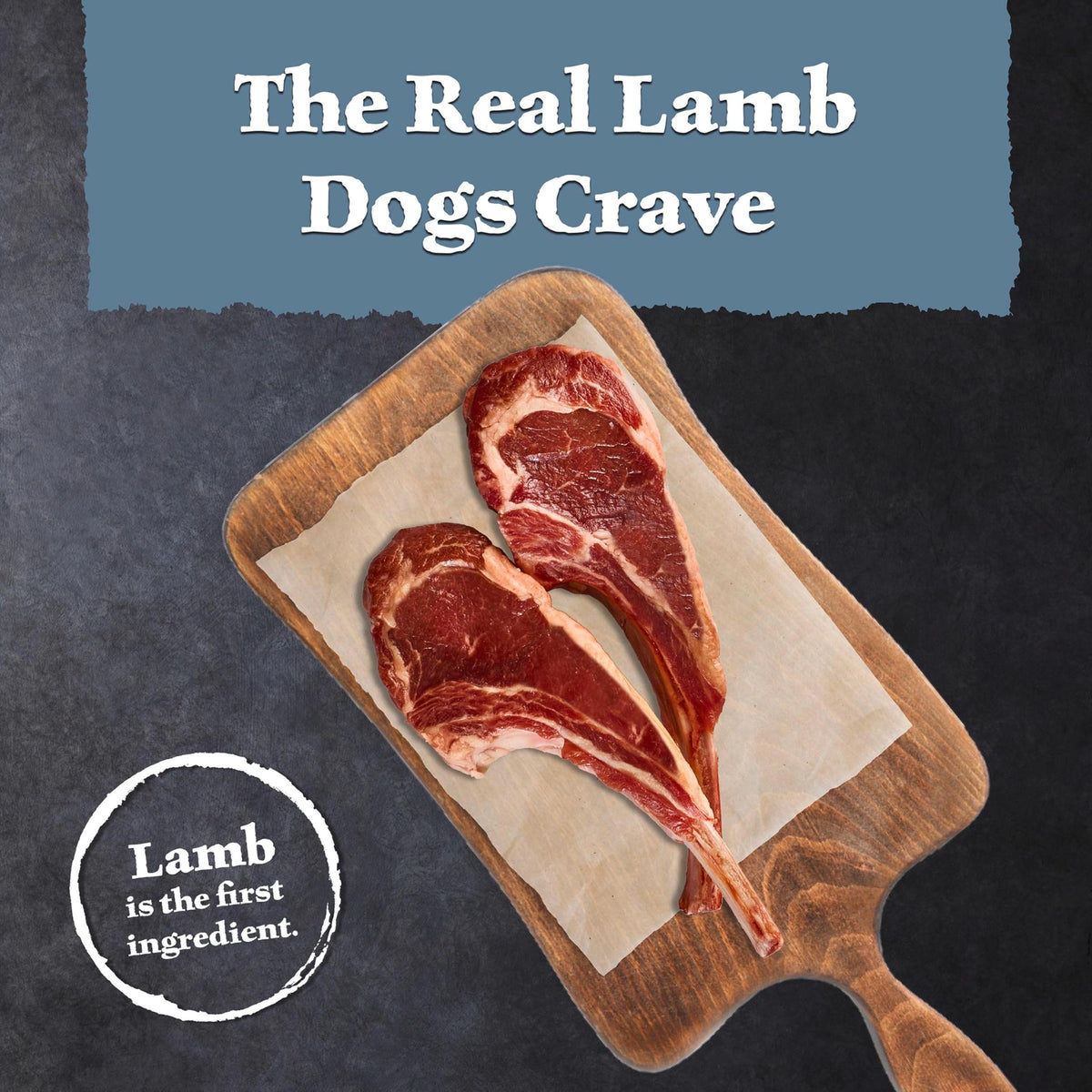 Lamb & Wholesome Grains Senior Dry Dog Food, 4.5 lb N829475
