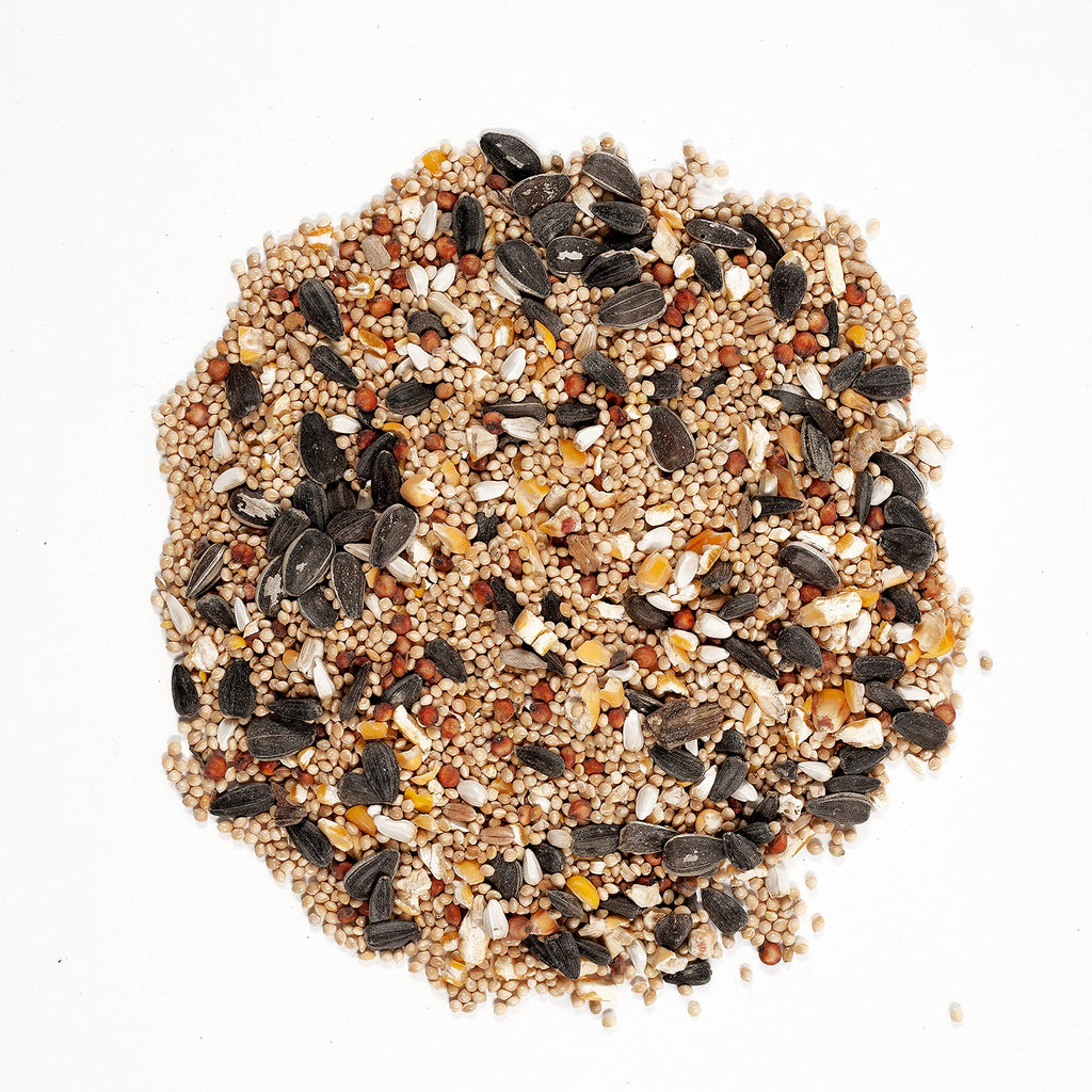 20-Pound Wild Bird Food and 5 Pound Nut & Fruit Wild Bird Food K64234